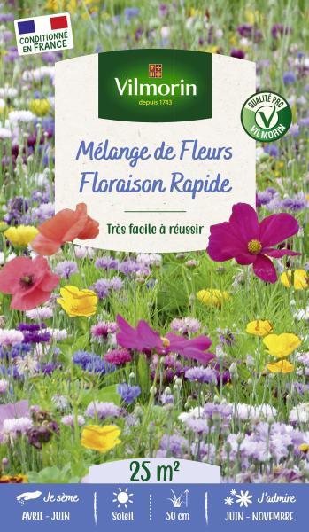 Mélanges de fleurs - Floraison Rapide - 25 m² - Mélange de fleurs - PACKAGING_RECTO